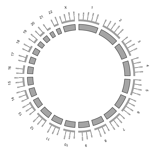 circos of chromosomes with scales and names