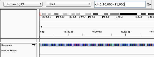 Navigition using Location text field. Sequence track displayed as sequence of colours.