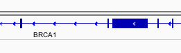 Gene model.